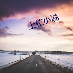 上位小说 （民情）