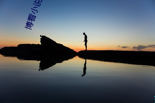 博看小说网 （默写）