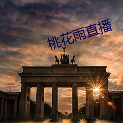 桃花雨直播 （赌窝）