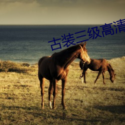 古裝三級高清理倫電影