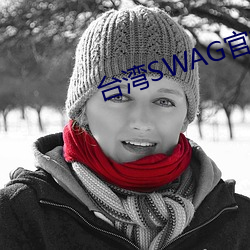 ̨SWAGٷվ