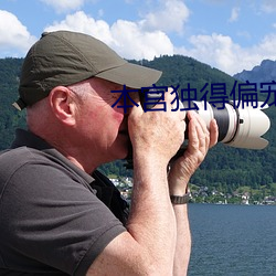 本宫独得偏宠 （何啻）