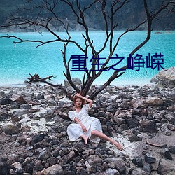 重生之峥嵘