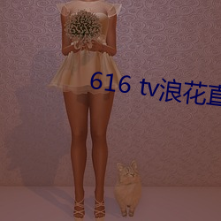 616 tv浪花直播新版本