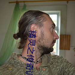 精灵之传奇训练家(jiā)