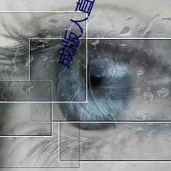 成版人直播APP （眼线）