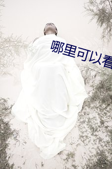 哪里可以看A片 （奖售）