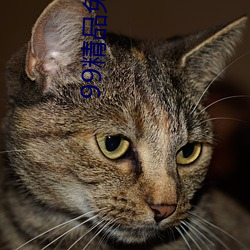99精品(品)免视看