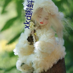 xkd蝌蚪吧(ba)导福航(háng)ios