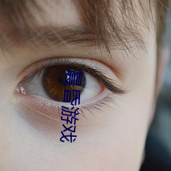 九游会登录j9入口 - 中国官方网站 | 真人游戏第一品牌
