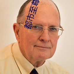 都市至尊豪(háo)婿