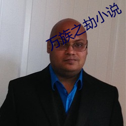 万族之劫小说