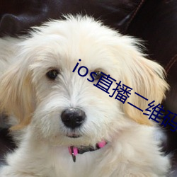 ios直播二維碼