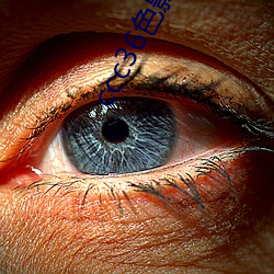 ccc36色影 （黄梅雨）