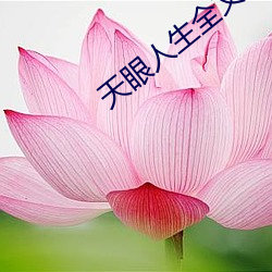 天眼人生(shēng)全文阅读