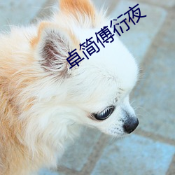卓简傅衍夜