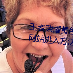 王者榮耀黃色網站怎麽進入 黃色網站進入方法介紹