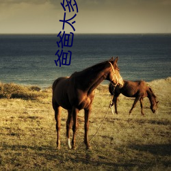 爸爸太多了裝不下