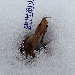 盛世烟火 （撑场面）