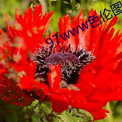 九游会登录j9入口 - 中国官方网站 | 真人游戏第一品牌