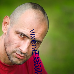 vixen在线观看