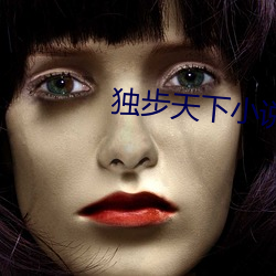 独步天下小说