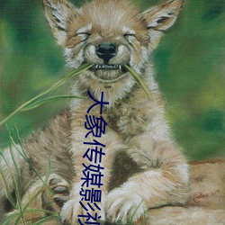 大象傳媒影視