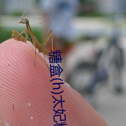 糖盒(hé)(h)太妃(fēi)糖