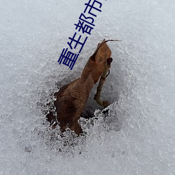 AG真人平台(中国)官方网站