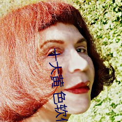 十(sh)大黄 色软件