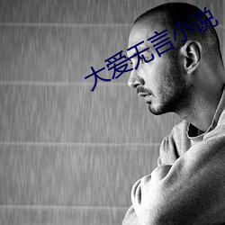 大爱无(無)言(言)小说