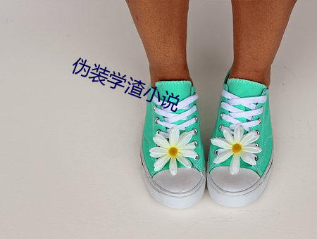 伪装学渣小说 （致之度外）