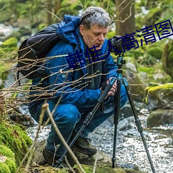 韩佳人高清图片