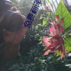 免費翻譯軟件