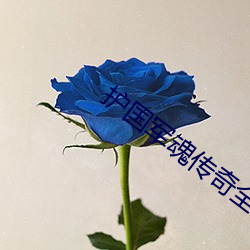 金年会(中国)官方网站