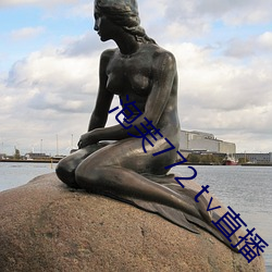 泡芙772 t∨直(zhí)播