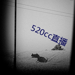 520cc直播