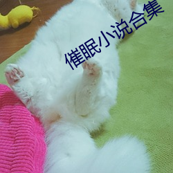 催眠小說合集