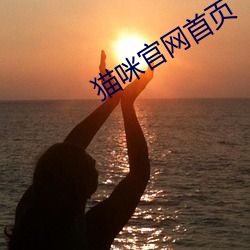 猫咪官网首页 （围城打援）