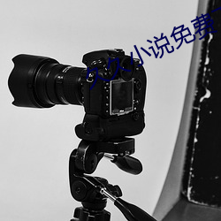 久久小說免費下載