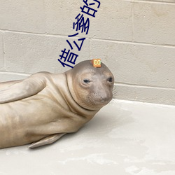 借公爹的种小说