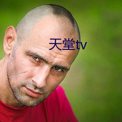 tv Ѵ