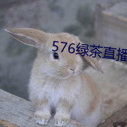 576绿(綠)茶直播