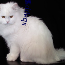 xbapp雪碧直播