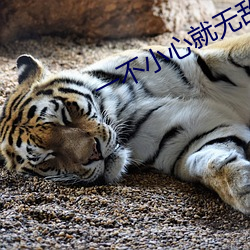 一不小心就无敌啦