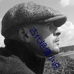 古代(代)艳情小(小)说(說)