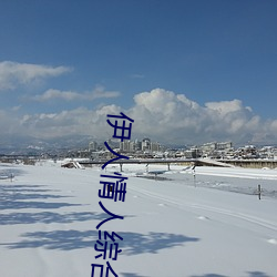 伊人情人综合网