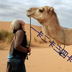 一卡二卡三四卡