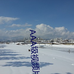 AAA级视(視)频片段(段)