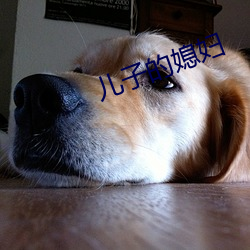儿子的媳妇 （凿空投隙）